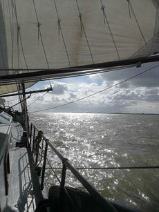 Segeltörn auf dem Ijsselmeer (Foto: Natalie Thouet)